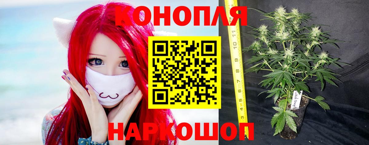 Канабис сатива  Вход с VPN  Пыть-Ях  МАРИХУАНА OG Kush 